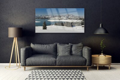 Glass Wall Art Snow lake forest landscape blue white green