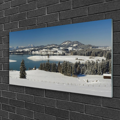 Glass Wall Art Snow lake forest landscape blue white green