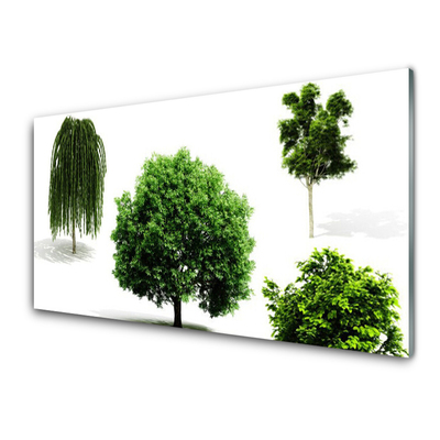 Glass Wall Art Trees nature brown green