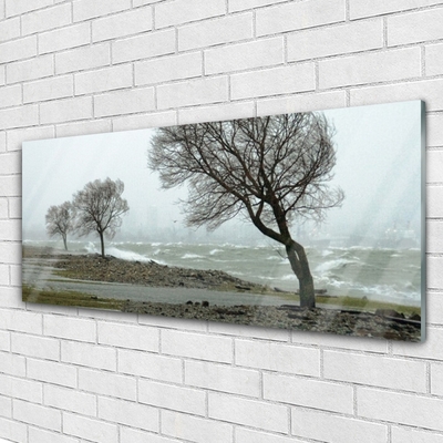 Glass Wall Art Trees nature brown