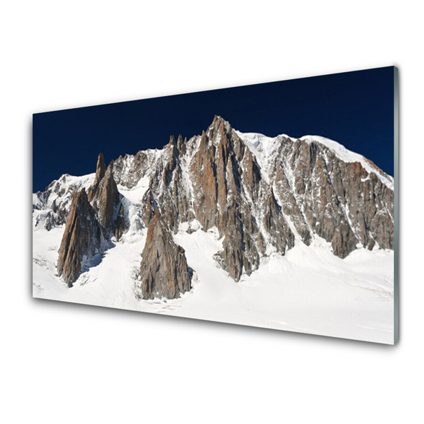 Glass Wall Art Mountain snow landscape white grey