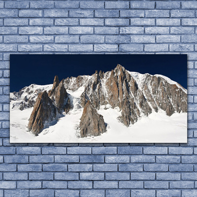 Glass Wall Art Mountain snow landscape white grey