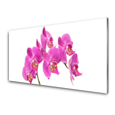 Glass Wall Art Flowers floral pink