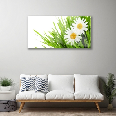 Glass Wall Art Grass daisies floral green yellow white