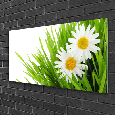 Glass Wall Art Grass daisies floral green yellow white