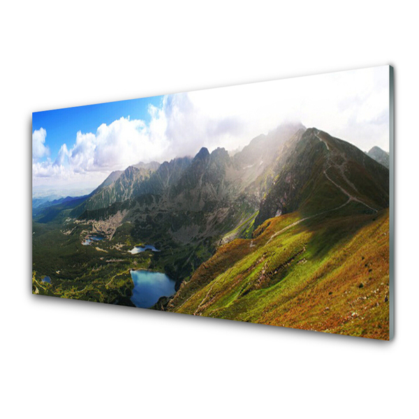 Glass Wall Art Mountain meadow landscape grey green