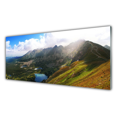 Glass Wall Art Mountain meadow landscape grey green