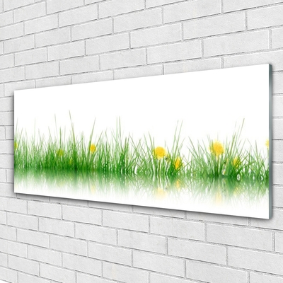 Glass Wall Art Grass nature green