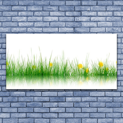 Glass Wall Art Grass nature green