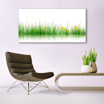 Glass Wall Art Grass nature green