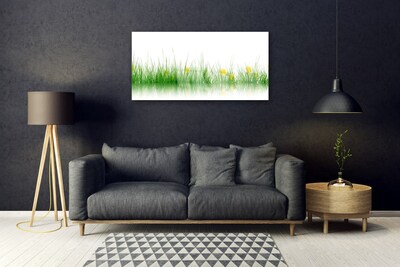 Glass Wall Art Grass nature green