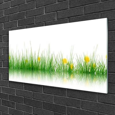 Glass Wall Art Grass nature green