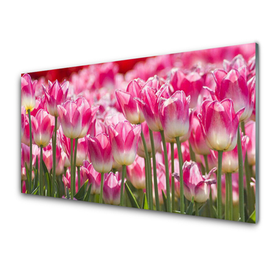 Glass Wall Art Tulips floral green white red