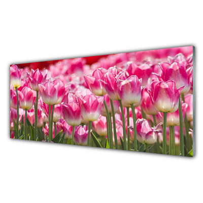 Glass Wall Art Tulips floral green white red