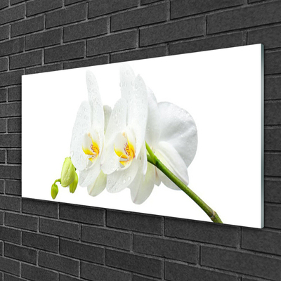 Glass Wall Art Flowers floral white