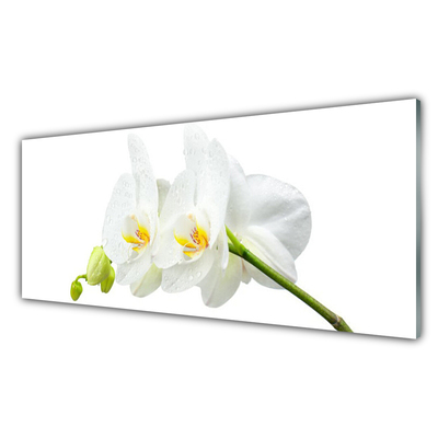 Glass Wall Art Flowers floral white