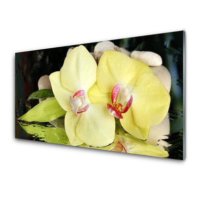 Glass Wall Art Petal floral green