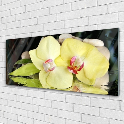 Glass Wall Art Petal floral green