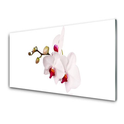 Glass Wall Art Flowers floral pink white