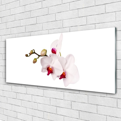 Glass Wall Art Flowers floral pink white