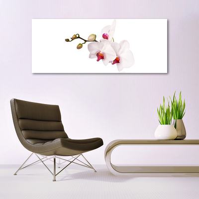 Glass Wall Art Flowers floral pink white