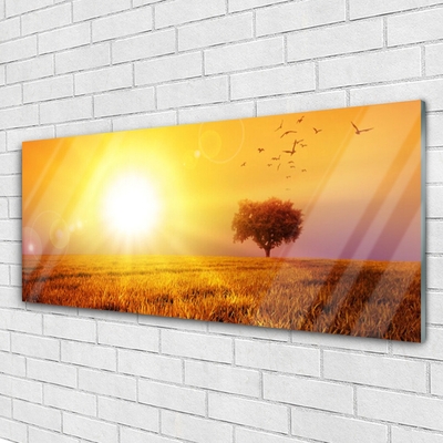 Glass Wall Art Sun meadow landscape yellow brown