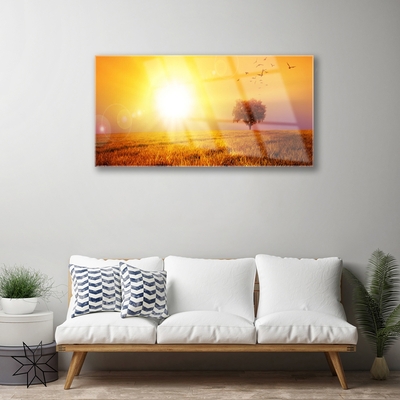 Glass Wall Art Sun meadow landscape yellow brown