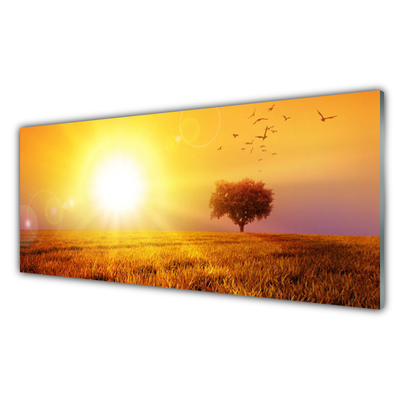 Glass Wall Art Sun meadow landscape yellow brown