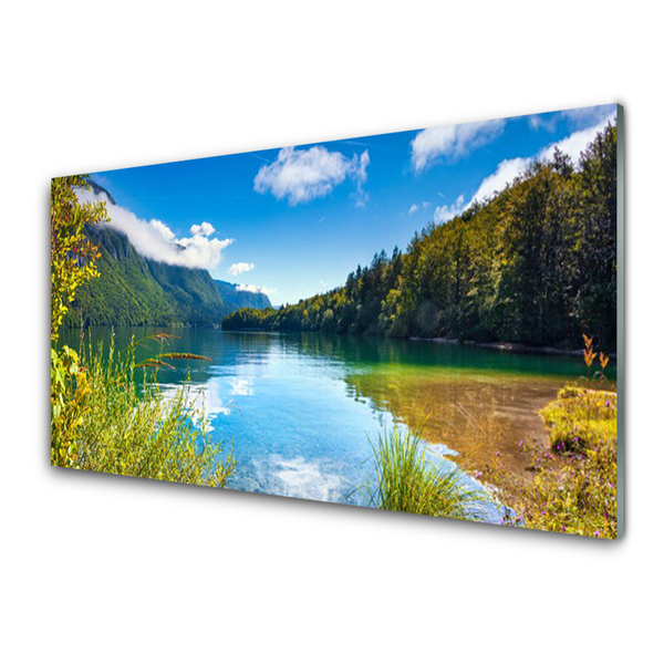 Glass Wall Art Mountain forest lake nature green blue