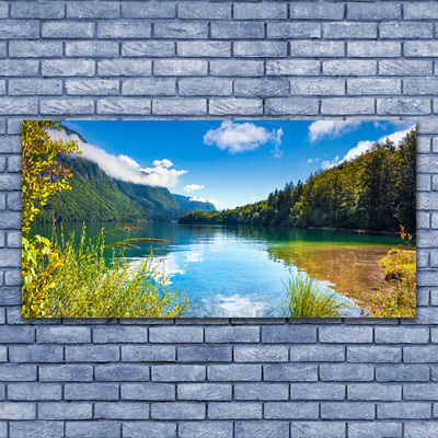 Glass Wall Art Mountain forest lake nature green blue