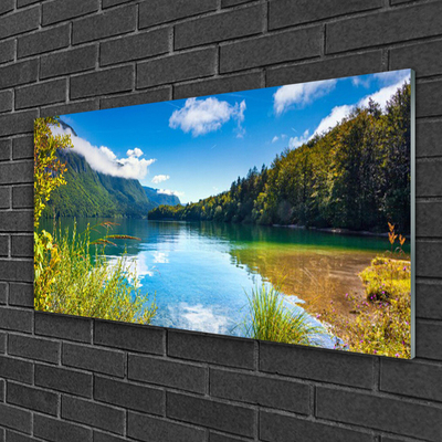 Glass Wall Art Mountain forest lake nature green blue