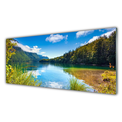 Glass Wall Art Mountain forest lake nature green blue