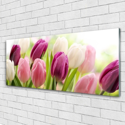 Glass Wall Art Tulips floral white red pink