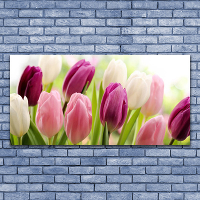 Glass Wall Art Tulips floral white red pink