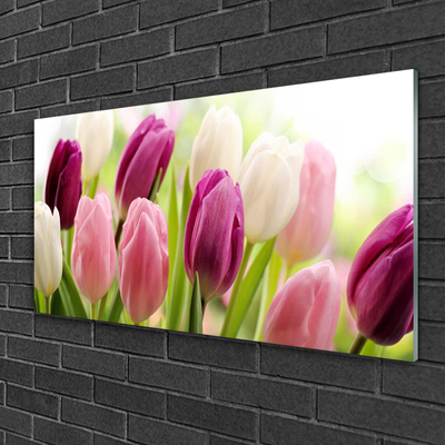 Glass Wall Art Tulips floral white red pink