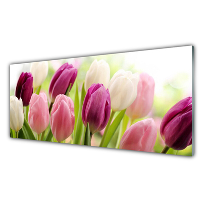 Glass Wall Art Tulips floral white red pink