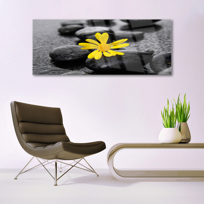 Glass Wall Art Flower stones art yellow black