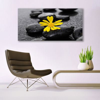 Glass Wall Art Flower stones art yellow black