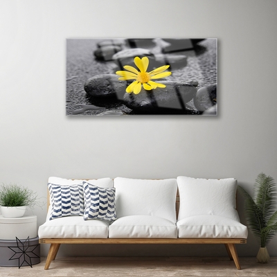 Glass Wall Art Flower stones art yellow black