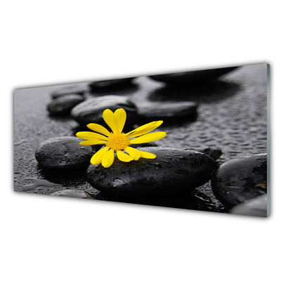 Glass Wall Art Flower stones art yellow black