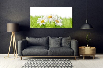 Glass Wall Art Grass daisies floral white green