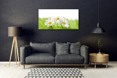 Glass Wall Art Grass daisies floral white green