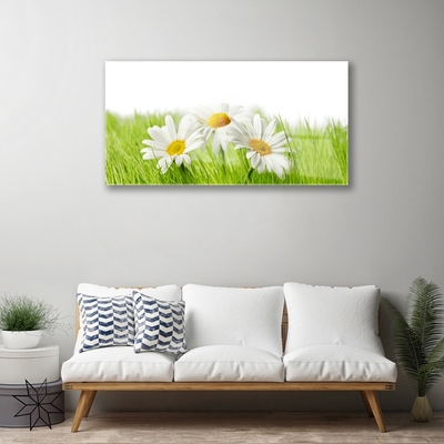 Glass Wall Art Grass daisies floral white green