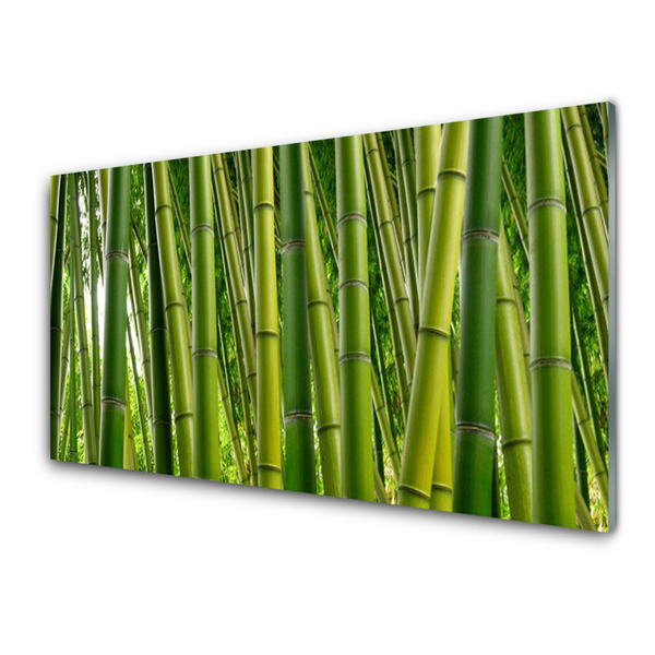 Glass Wall Art Bamboo stalks floral green