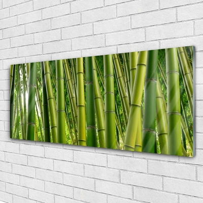 Glass Wall Art Bamboo stalks floral green