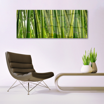 Glass Wall Art Bamboo stalks floral green