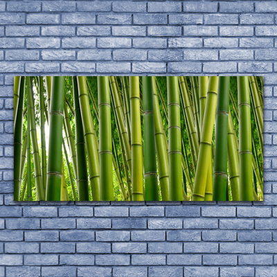 Glass Wall Art Bamboo stalks floral green