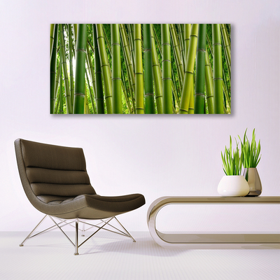 Glass Wall Art Bamboo stalks floral green