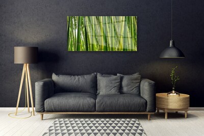 Glass Wall Art Bamboo stalks floral green