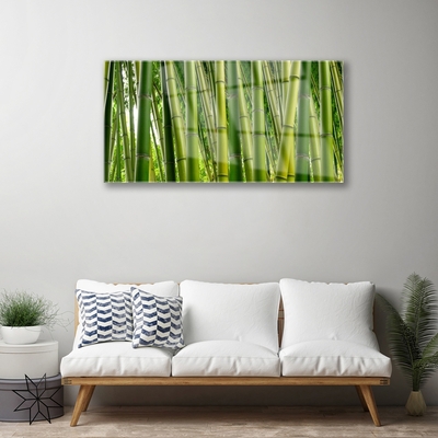 Glass Wall Art Bamboo stalks floral green